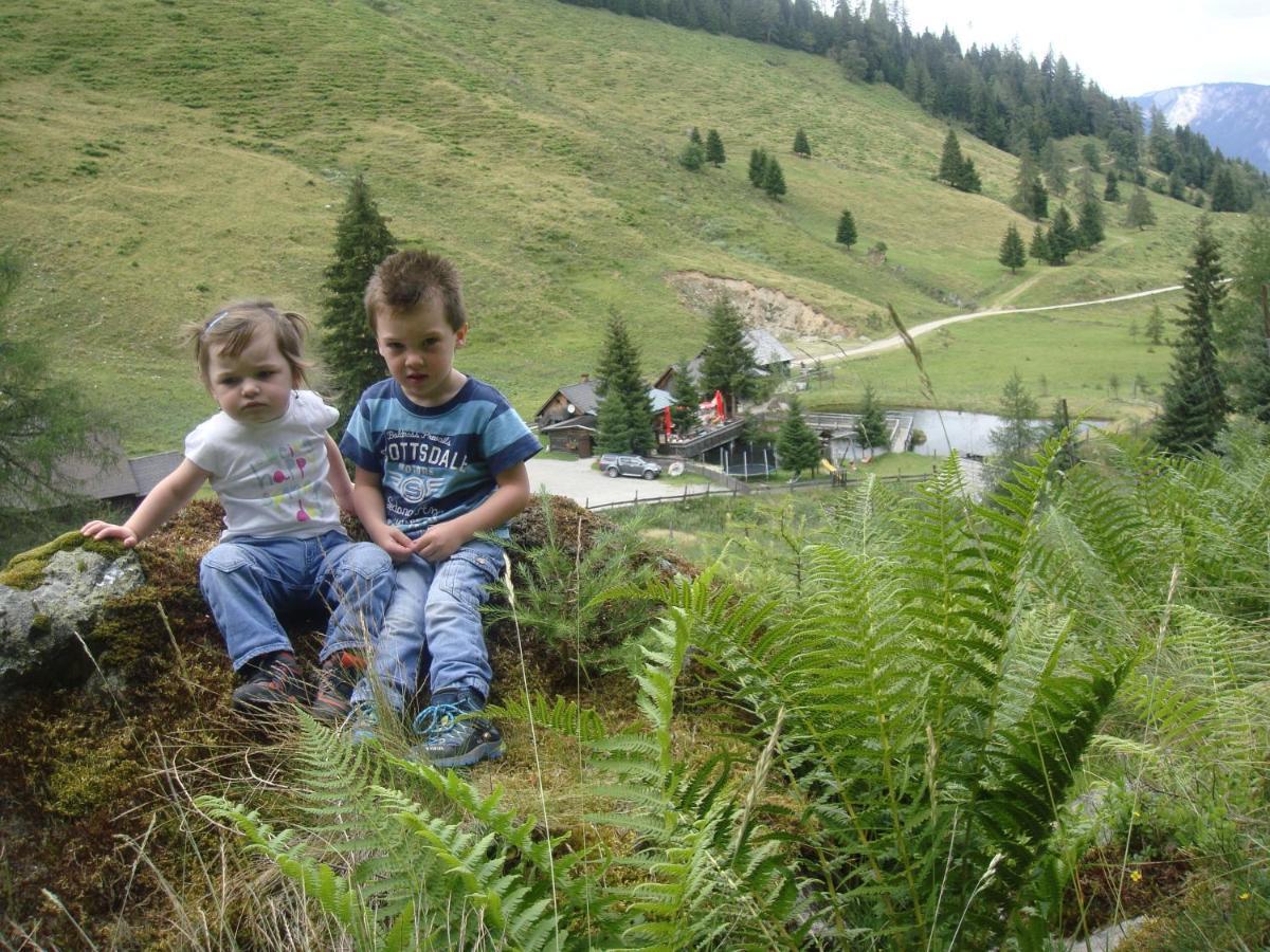 Vila Schmiedalm Haus im Ennstal Exteriér fotografie